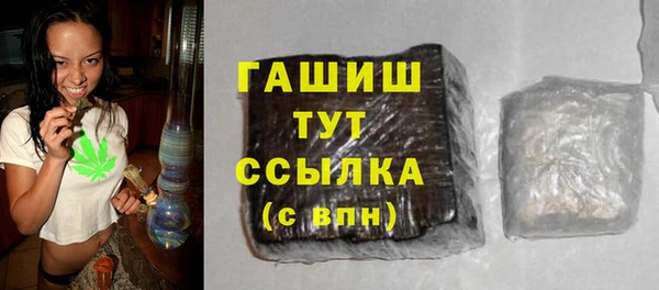 индика Кинешма