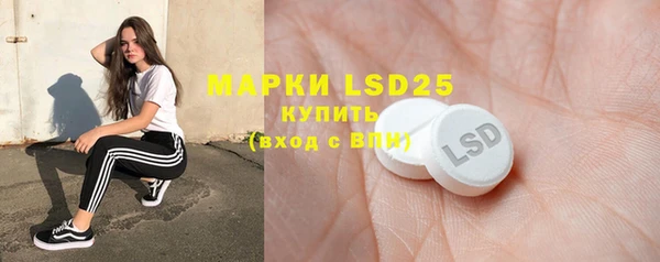 индика Касимов