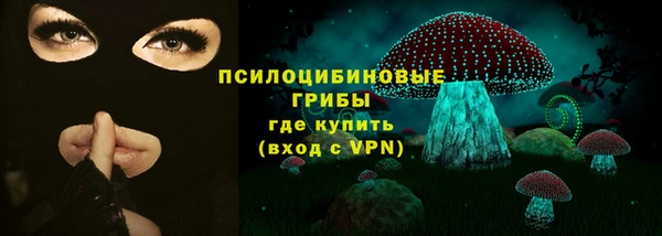 индика Касимов