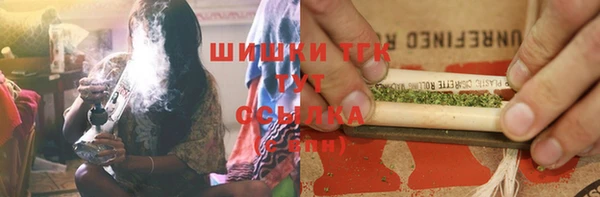 индика Касимов