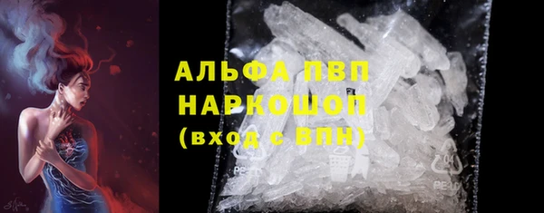 индика Кинешма