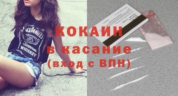 гашик Карпинск