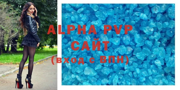 гашик Карпинск