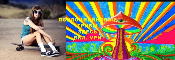 гашик Карпинск