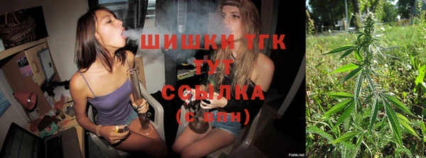 индика Карталы