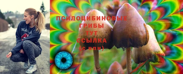 индика Касимов
