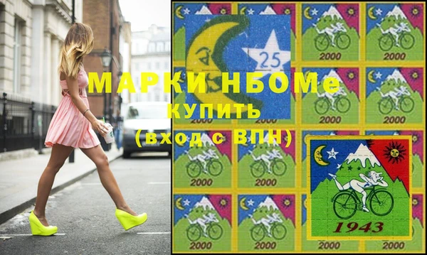 хмурый Кодинск
