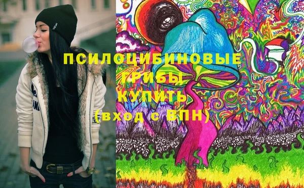 индика Касимов