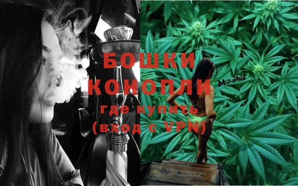 индика Касимов