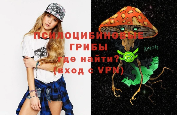индика Кинешма