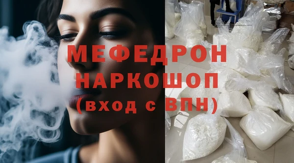 индика Кинешма