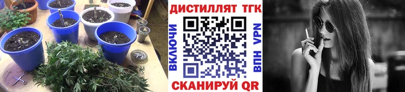 ТГК THC oil Княгинино