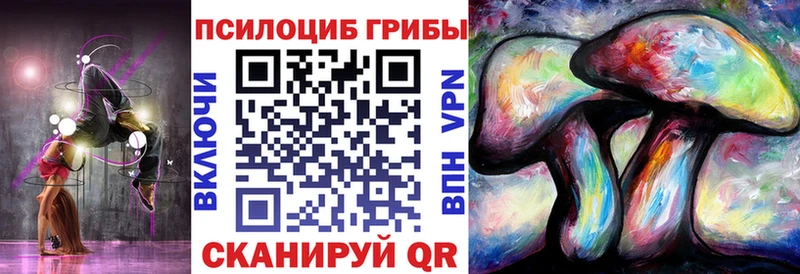 Галлюциногенные грибы мухоморы  дарнет шоп  Княгинино 
