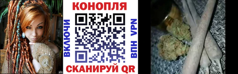 Канабис планчик  Княгинино 